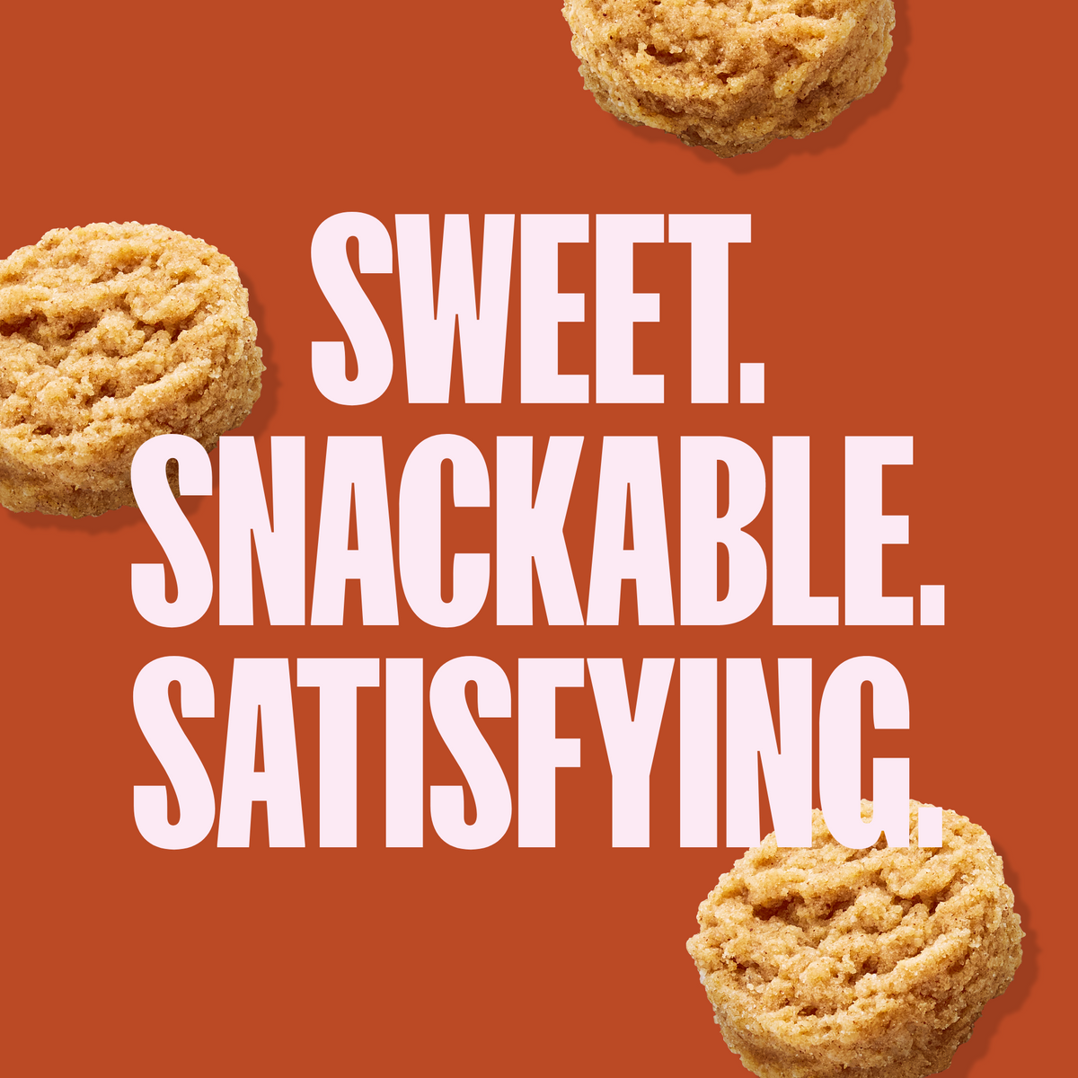 Snickerdoodle Soft Baked Mini Cookies