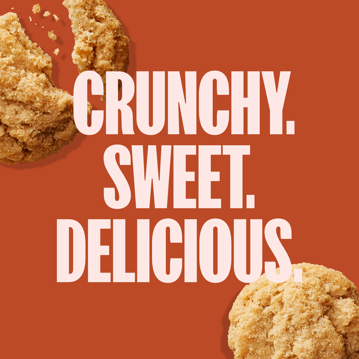 Snickerdoodle Crunchy Cookies