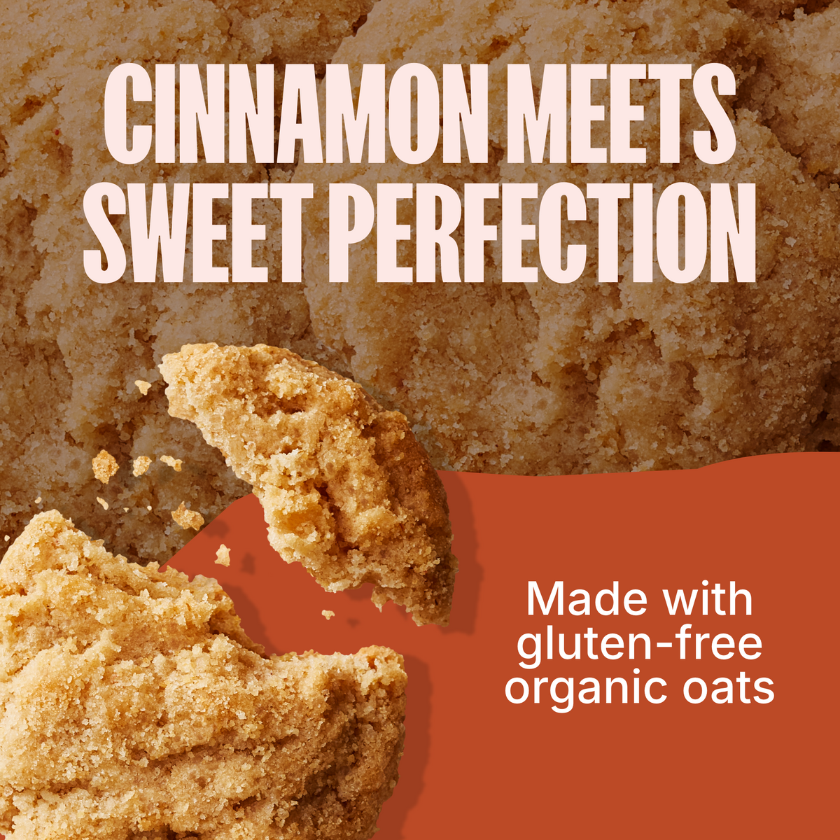 Snickerdoodle Crunchy Cookies